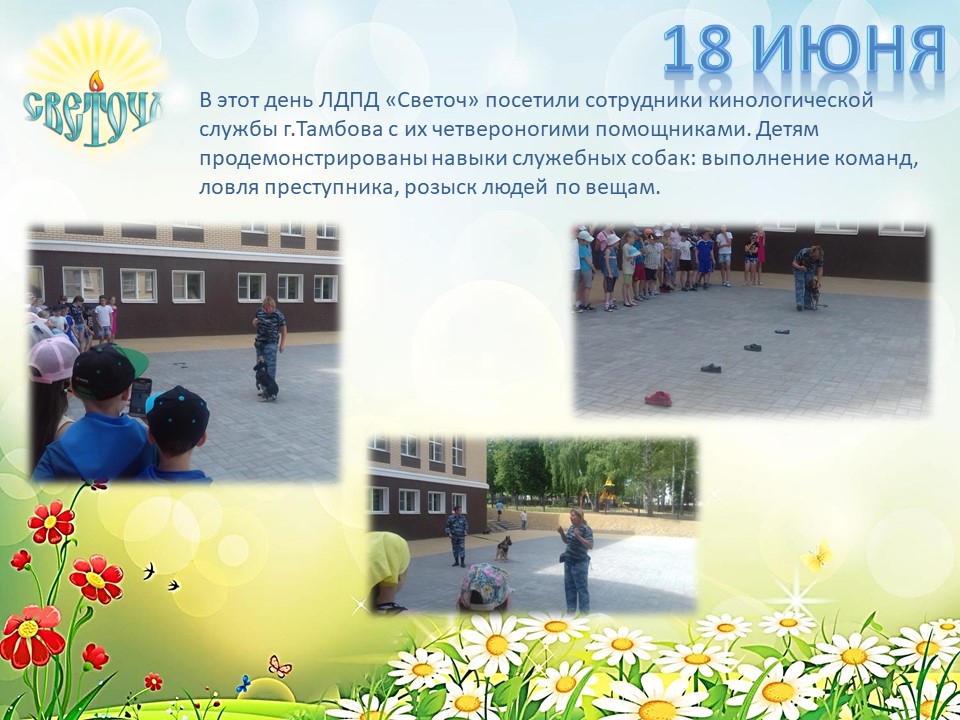 Структурное подразделение ЛДПД 